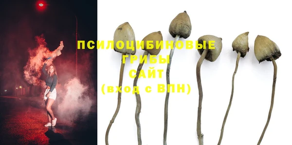 соль курить ск Абаза